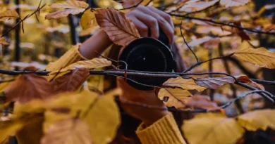 Vendere foto e guadagnare
