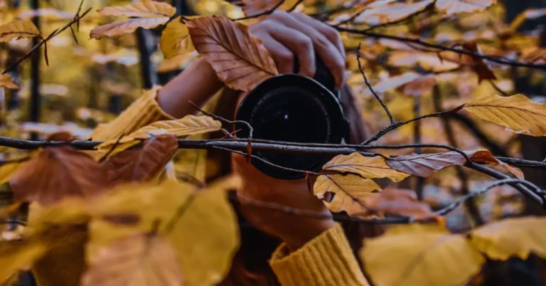 Vendere foto e guadagnare