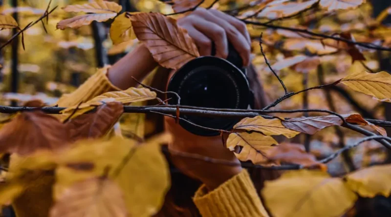 Vendere foto e guadagnare